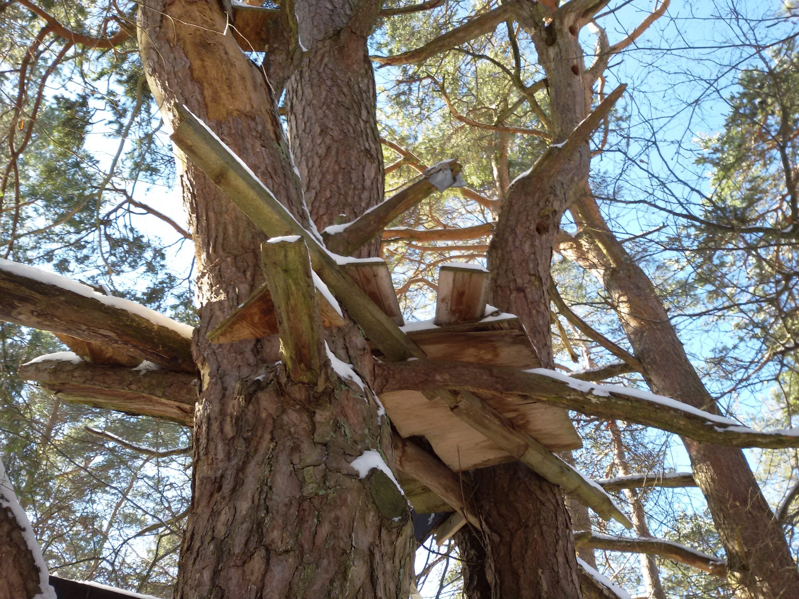 20210211_133138-scaled