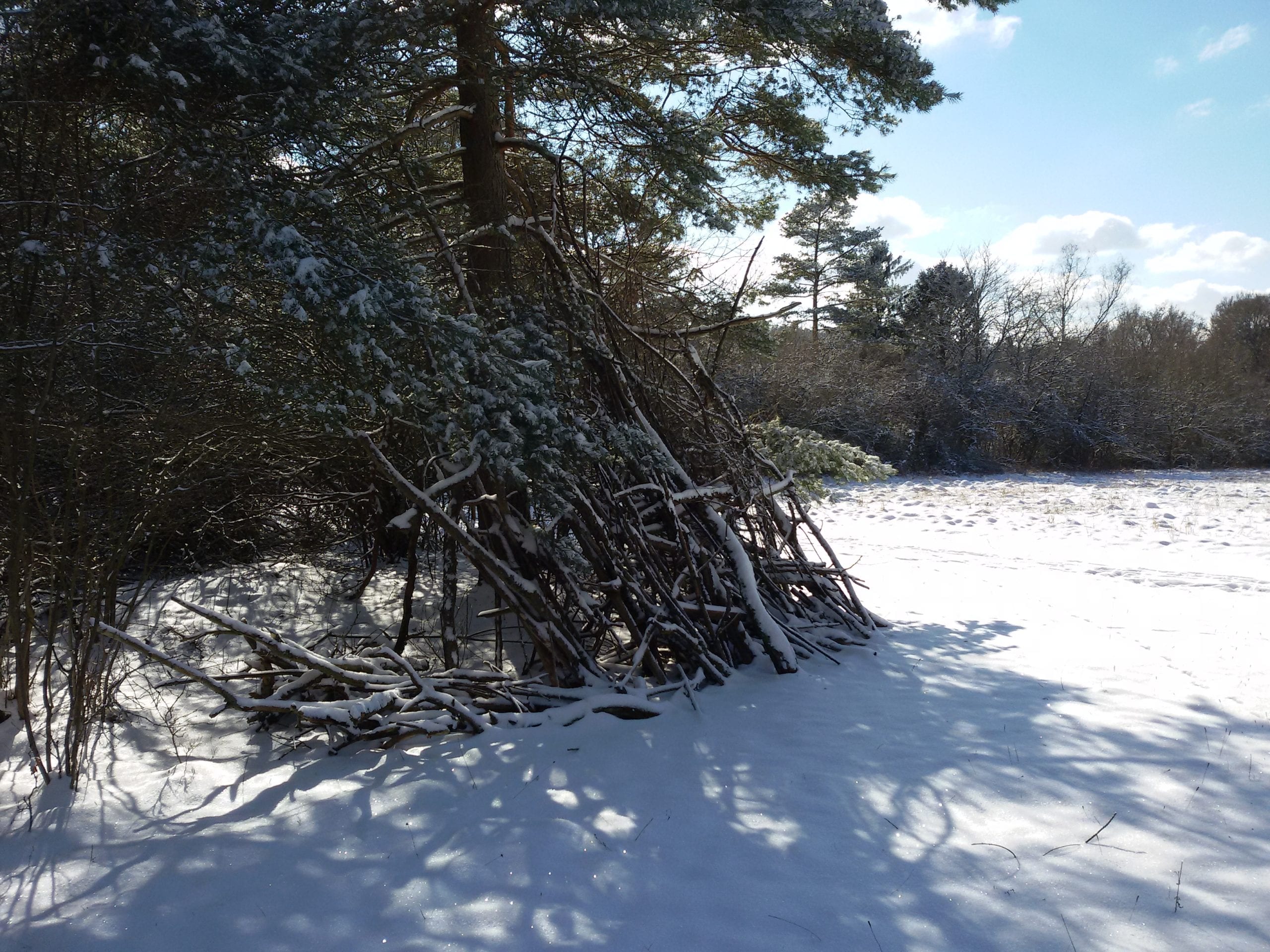 20210211_133521-scaled