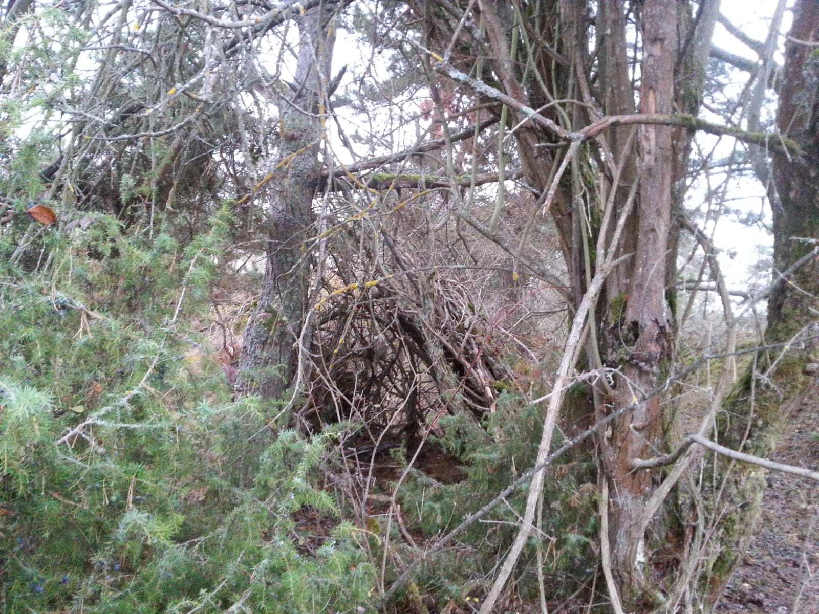 5b3c1615-80da-48c9-a474-baead5f95182-1