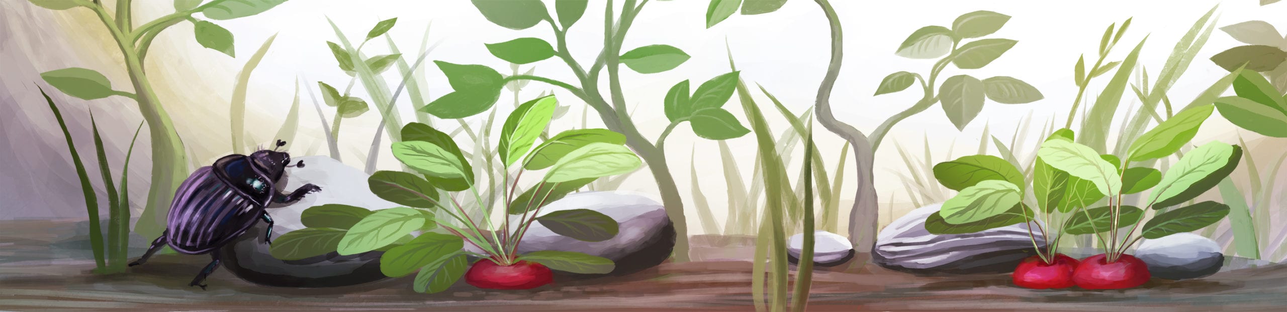 Mistkaeferchen-2-scaled