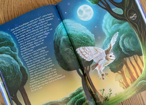 Die Regenbogenprinzessin - Blick ins Buch