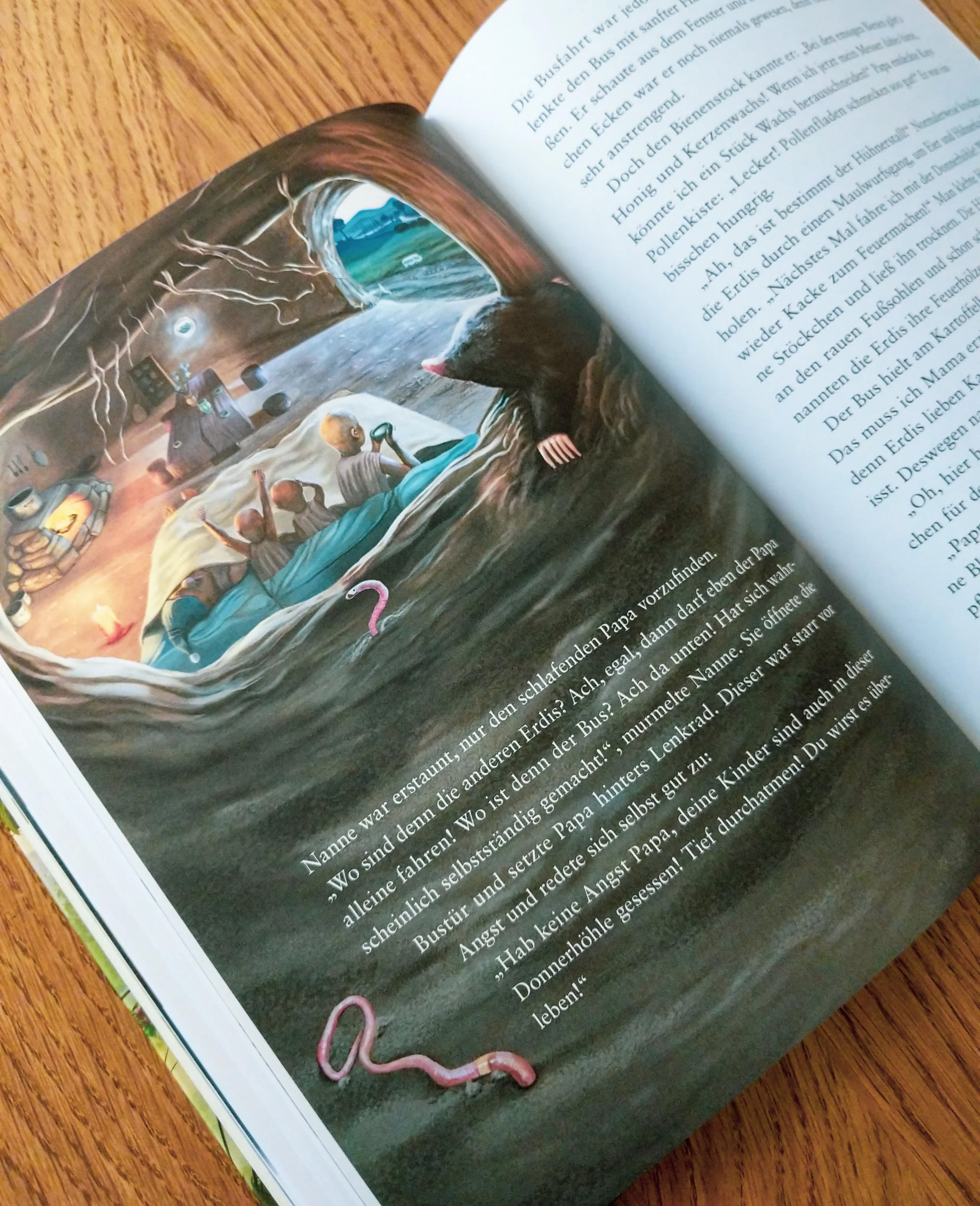 Die Erdis - Kinderbuch ab 5 Jahren – Bild 5